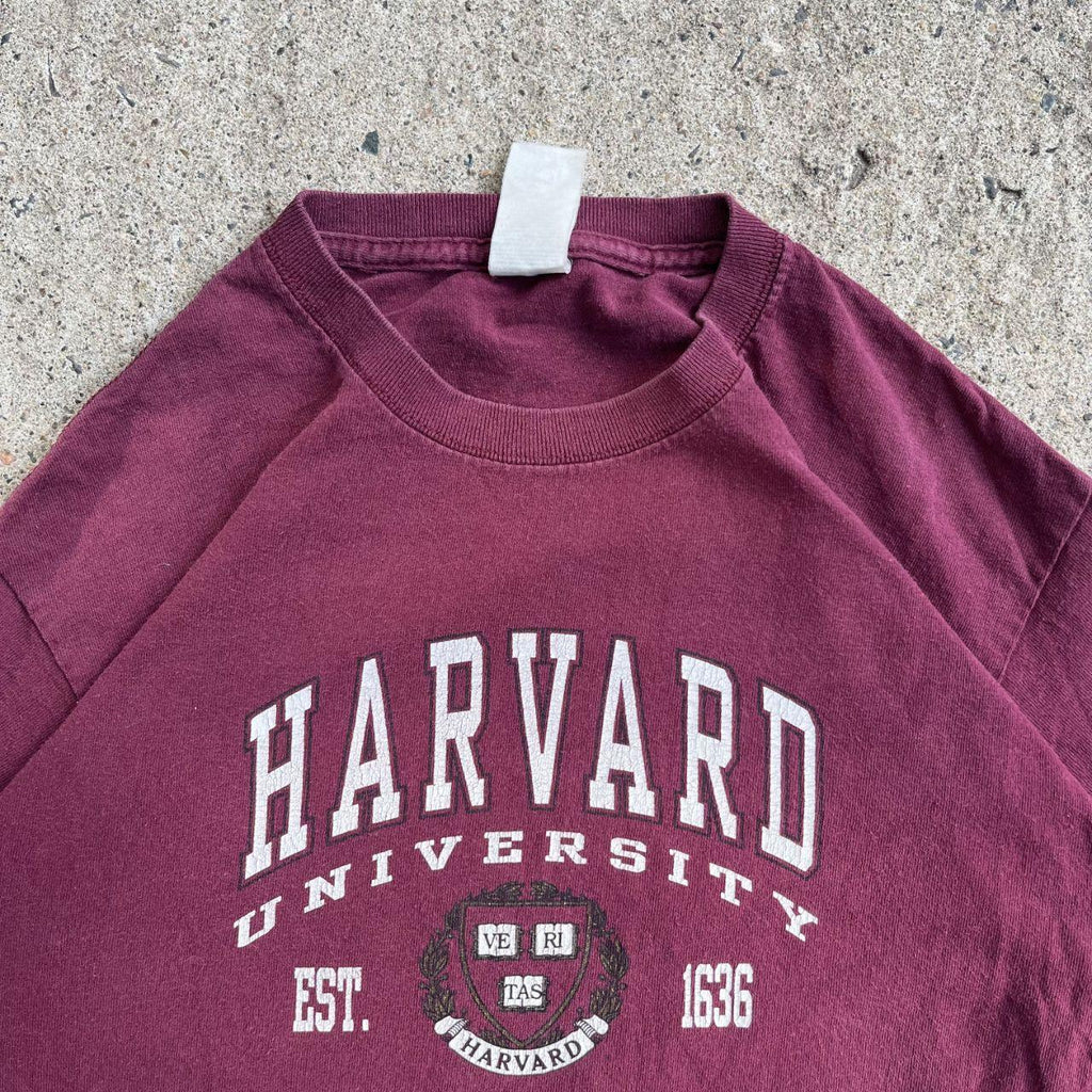 Vintage Y2K Burgundy Harvard T-Shirt (S)