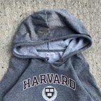 Vintage Y2K Grey Harvard Hoodie (M)