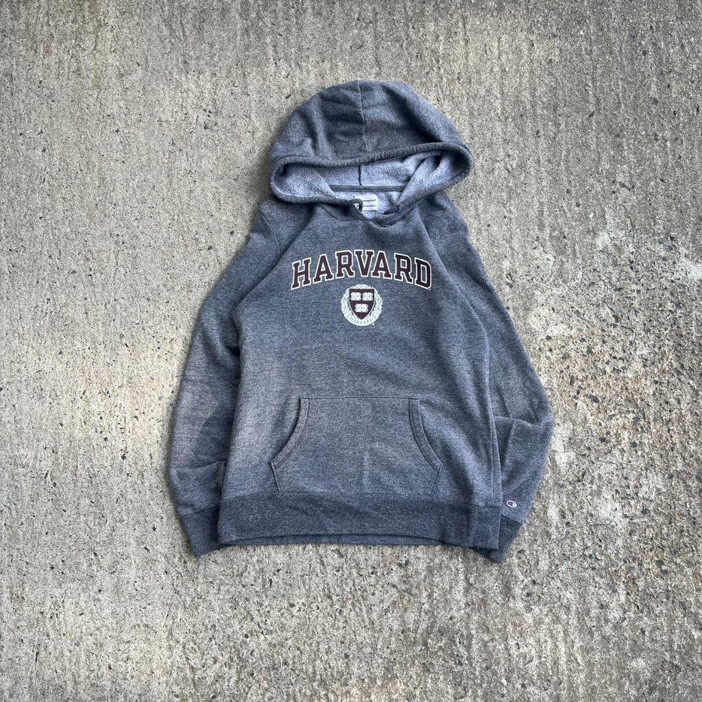 Vintage Y2K Grey Harvard Hoodie (M)