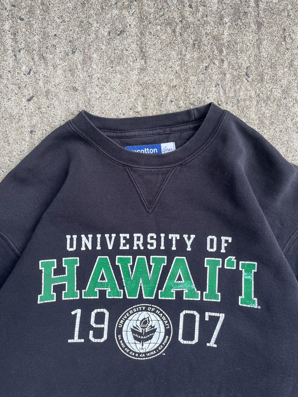 Vintage 90s Black Hawai'i Univeristy Crewneck (XL)