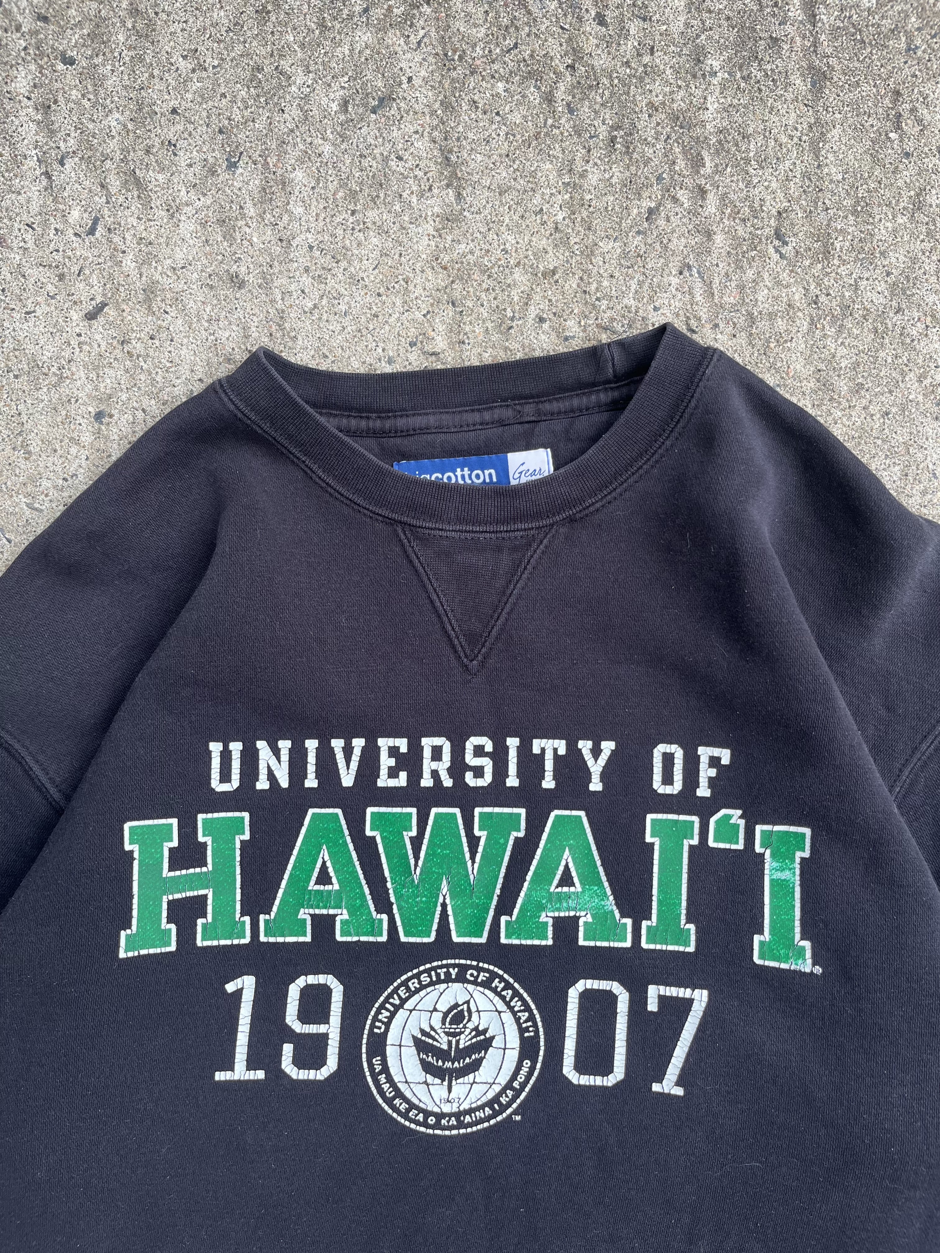 Vintage 90s Black Hawai'i Univeristy Crewneck (XL)