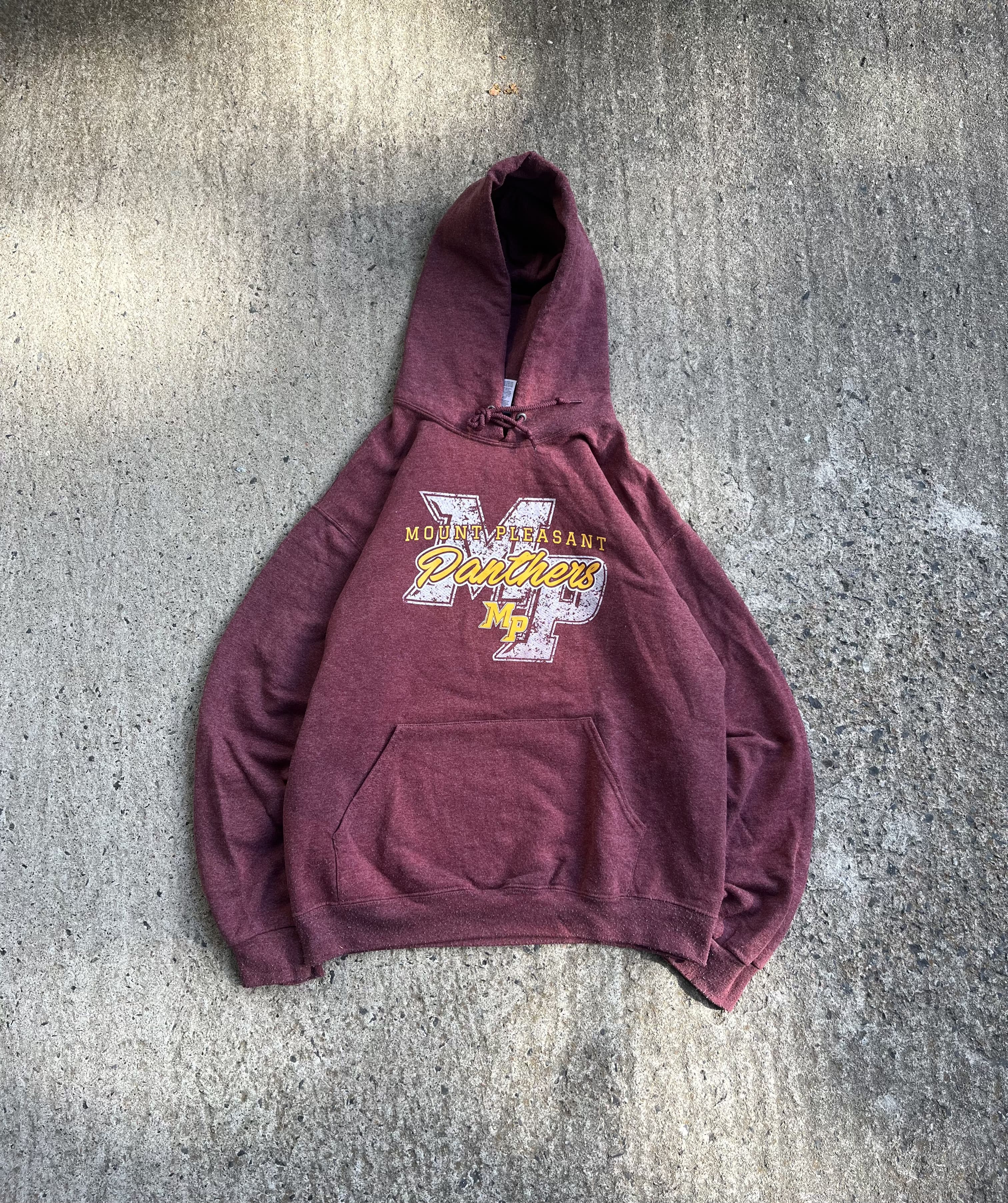 Vintage  Y2K Mount Pleasant Hoodie (M)