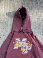 Vintage  Y2K Mount Pleasant Hoodie (M)
