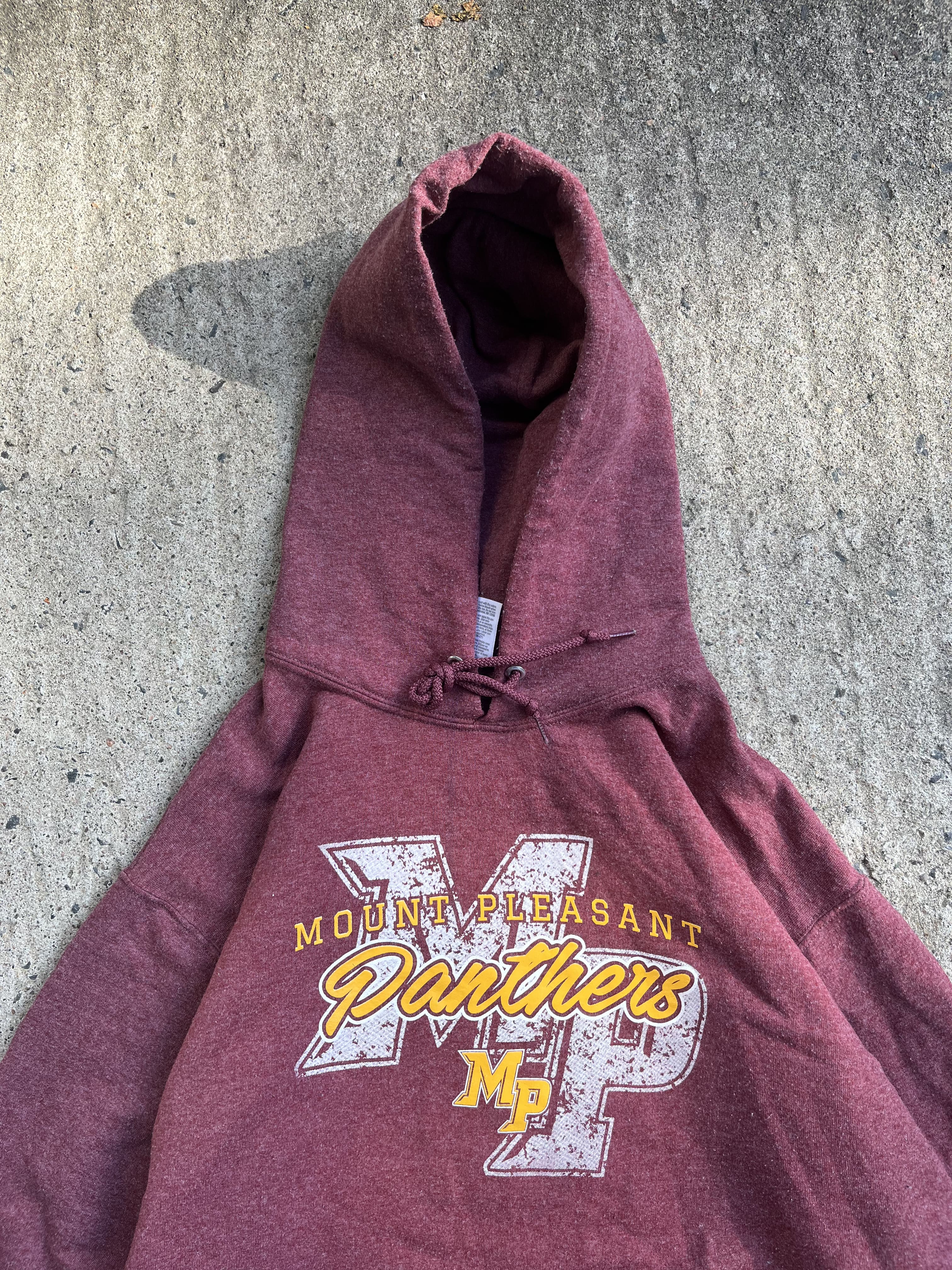 Vintage  Y2K Mount Pleasant Hoodie (M)