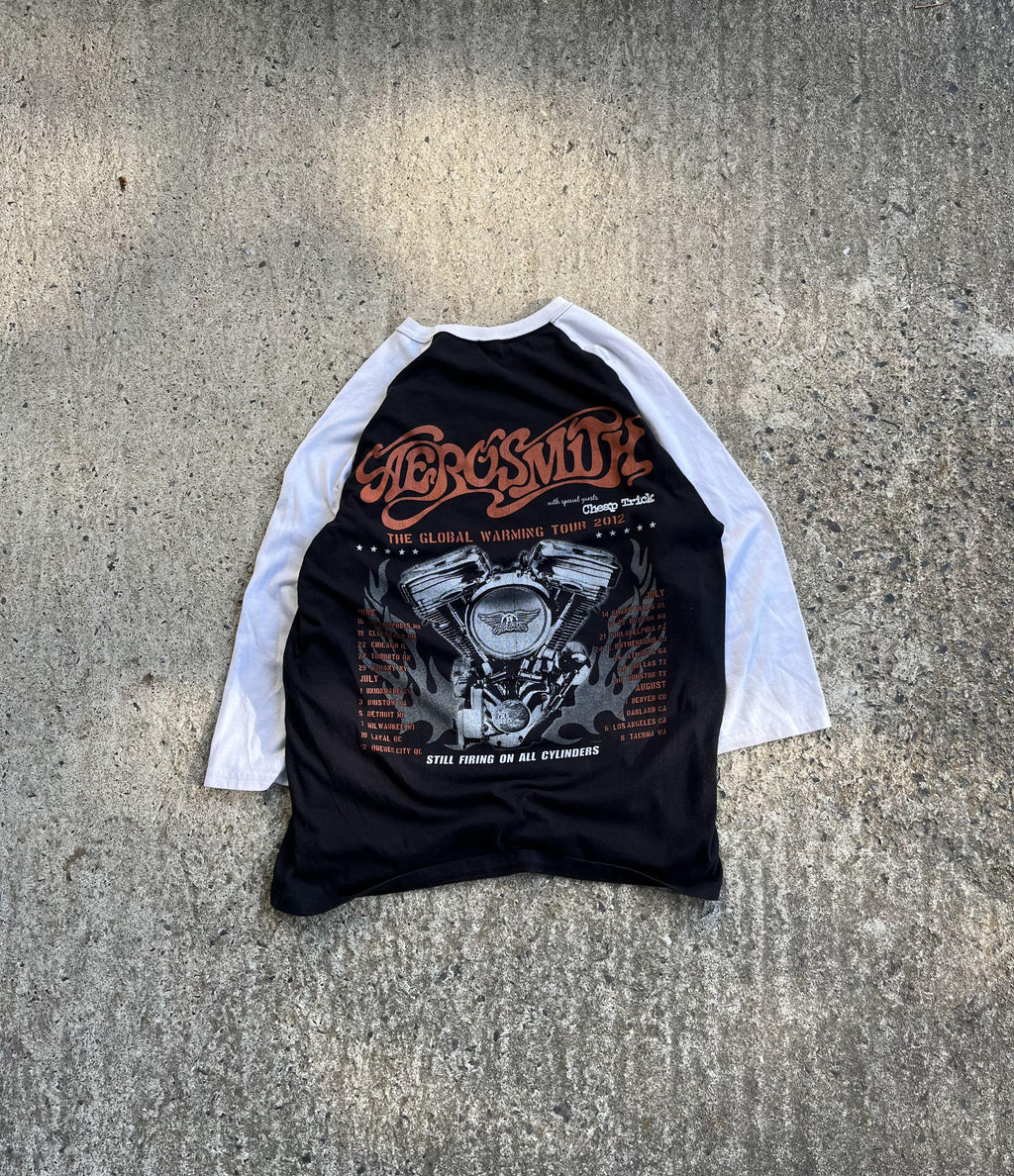 Vintage Y2K Aerosmith Band T-Shirt (L)