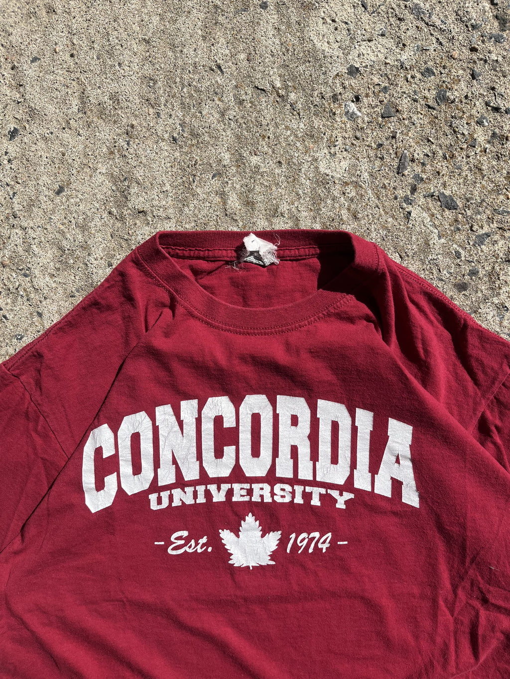 Vintage Y2K Concordia University T-Shirt (L)