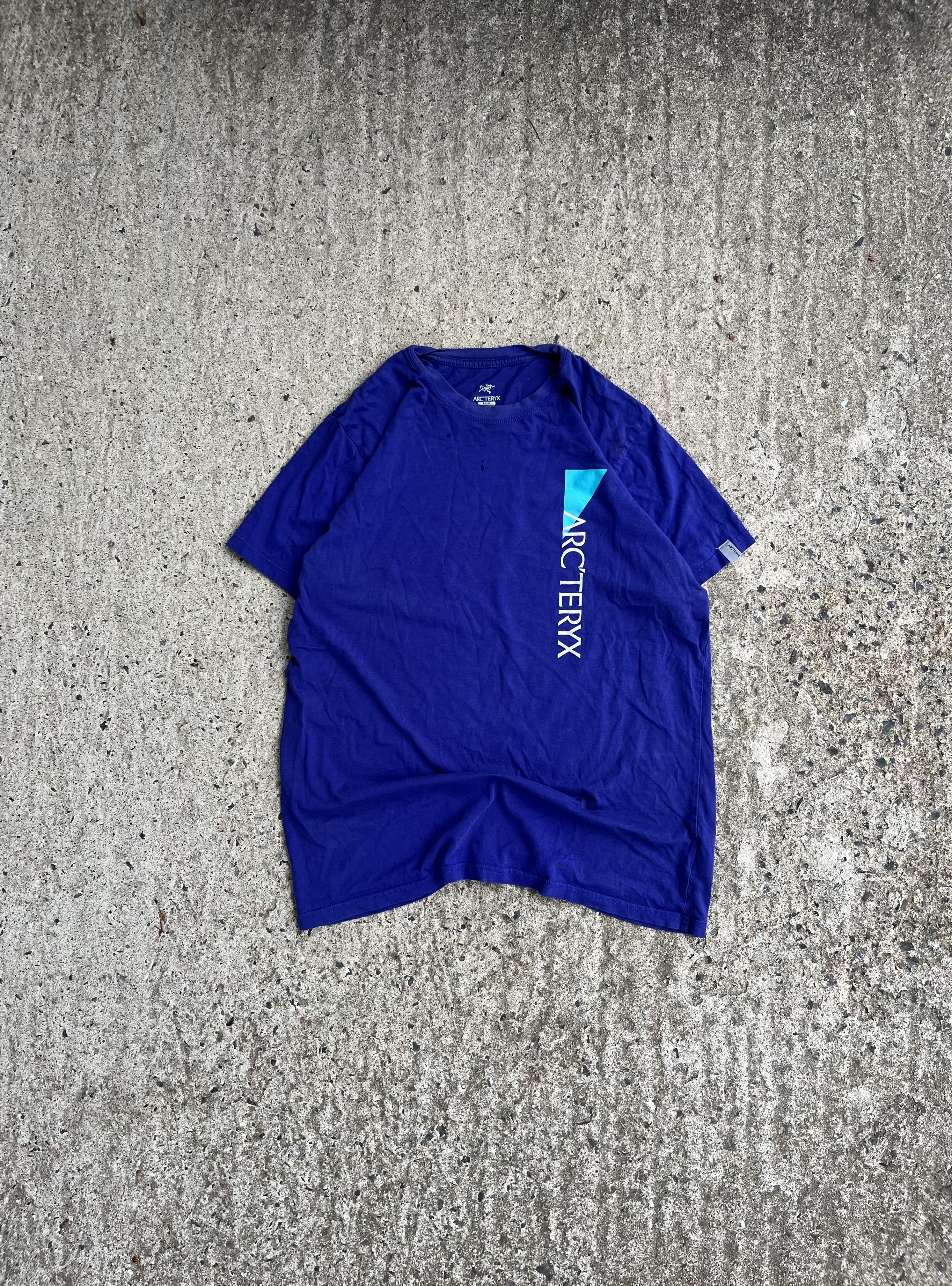 Vintage Y2K Gorpcore Arc'Teryx Purple T-Shirt (M)