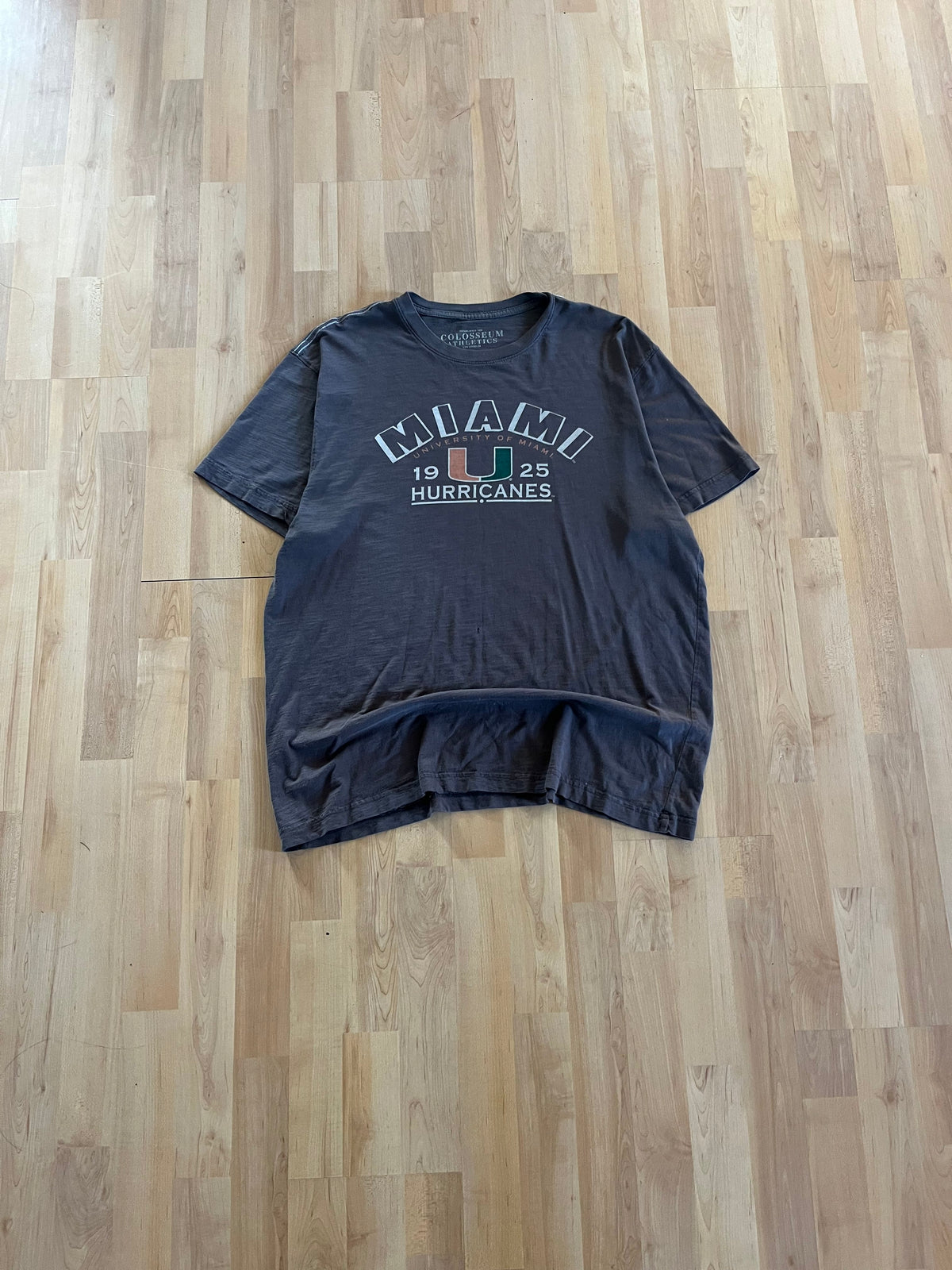 00s Charcoal Grey UMiami Hurricanes Collegiate Mascot Graphic Tee (L)