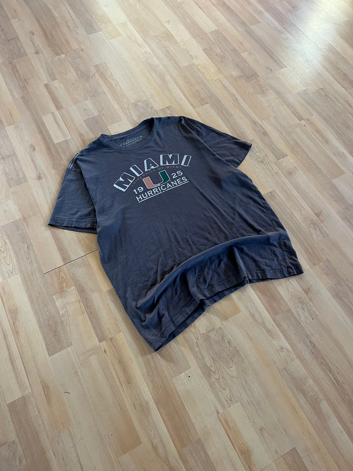 00s Charcoal Grey UMiami Hurricanes Collegiate Mascot Graphic Tee (L)